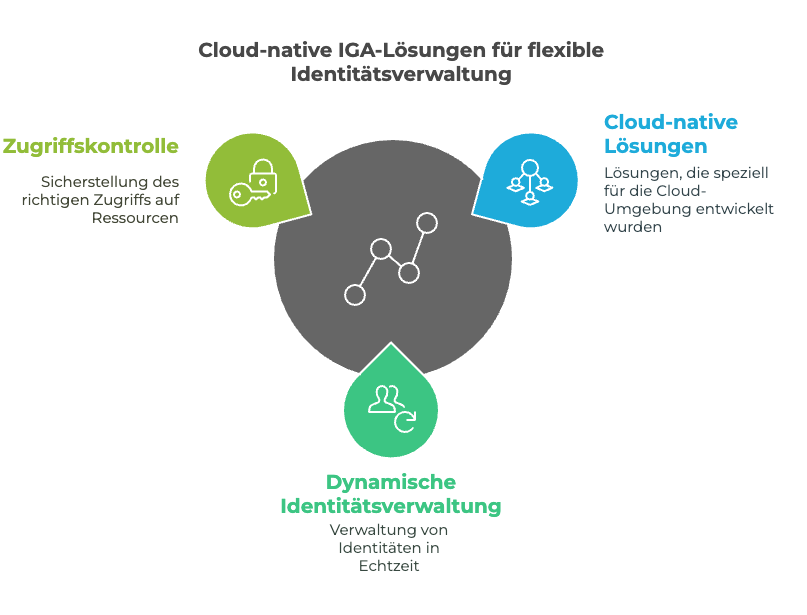 Cloud-native IGA-Lösungen für mehr Flexibilität - visual selection